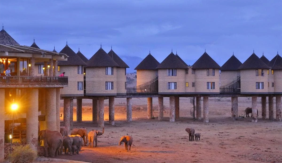 tsavo-east-and-taita-hills-saltlick-lodge