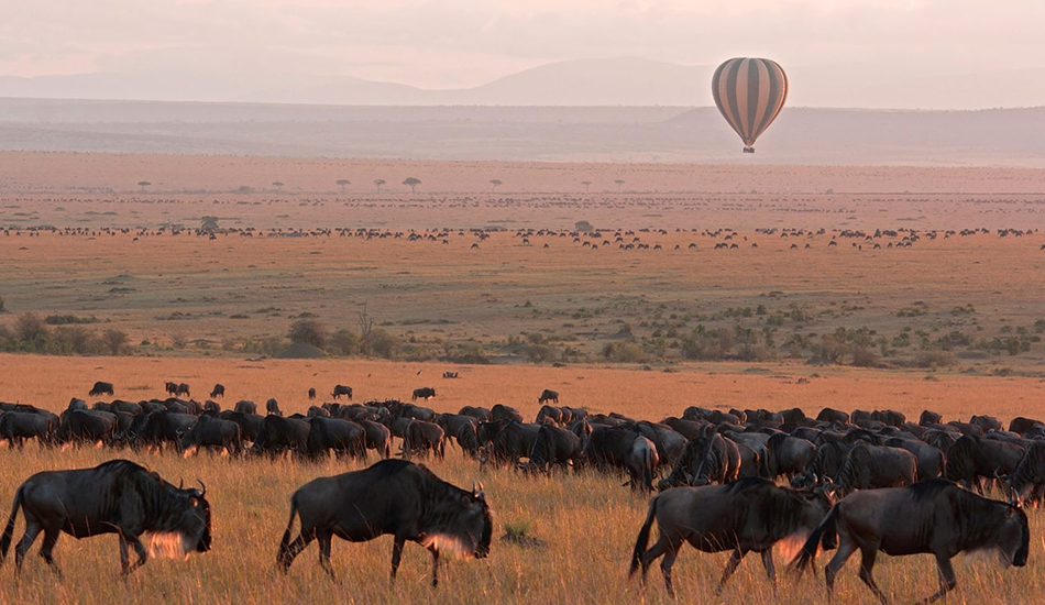 5-Day Tarangire, Serengeti, Ngorongoro & Lake Eyasi