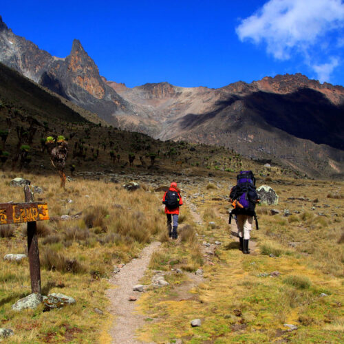 5 Days Mount Kenya Climb – Naro Moru Route Adventure